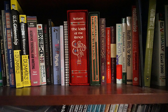 Sony RX1 Bookshelf-26_ISO 25600_1-250 sec at f - 2.0_35.0 mm f-2.0 at 35 mm