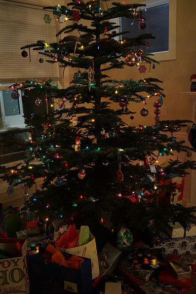Sony RX1 Christmas-14_ISO 6400_1-50 sec at f - 4.0_35.0 mm f-2.0 at 35 mm