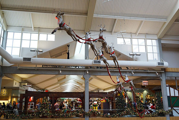 Sony RX1-69_ISO 1600_1-80 sec at f - 7.1_35.0 mm f-2.0 at 35 mm