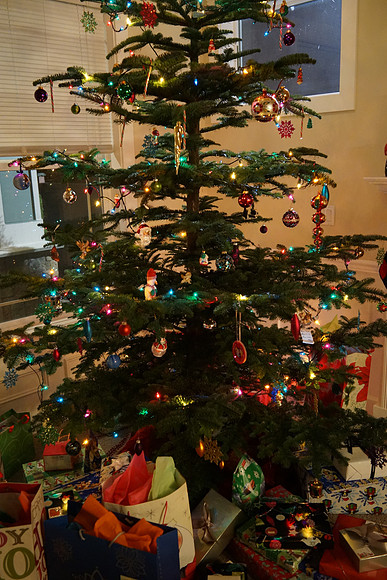 Sony RX1 Christmas-15_ISO 6400_1-25 sec at f - 4.0_35.0 mm f-2.0 at 35 mm