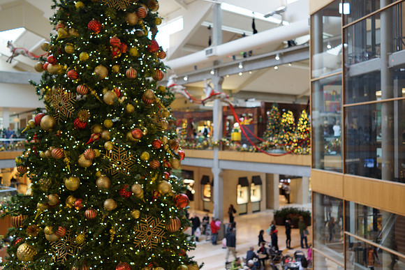 Sony RX1-127_ISO 320_1-125 sec at f - 2.0_35.0 mm f-2.0 at 35 mm