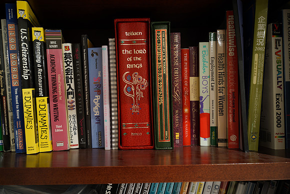 Sony RX1 Bookshelf-2_ISO 100_13.0 sec at f - 8.0_35.0 mm f-2.0 at 35 mm
