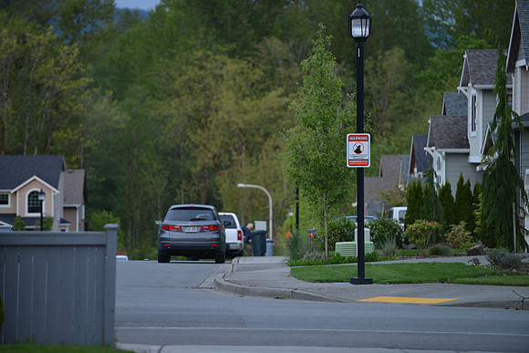 D800 First Shots-15