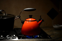 D800 First Shots-27
