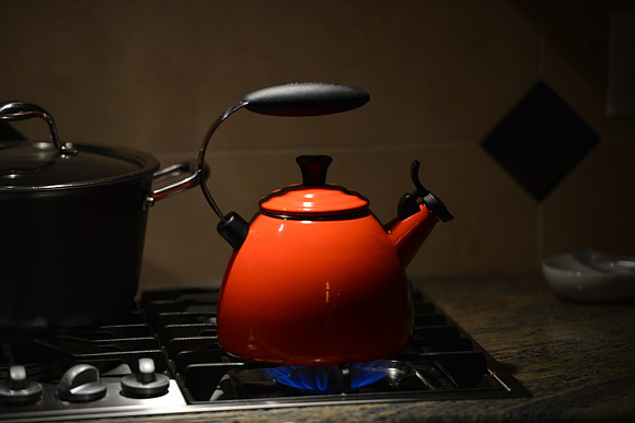 D800 First Shots-27
