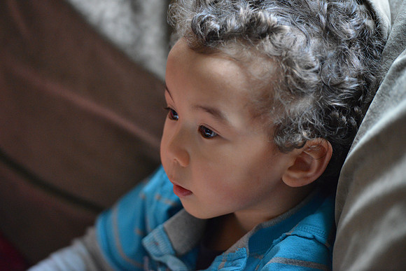 D800 First Shots-6