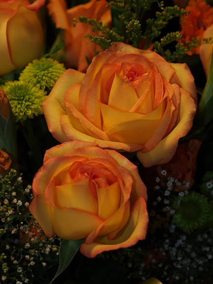E-M5 Flowers-12_ISO 400_1-60 sec at f - 4.0_OLYMPUS M.45mm F1.8 at 45 mm
