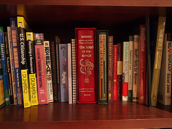 Olympus OM-D E-M5 Bookshelf-8_ISO 1600_0.4 sec at f - 5.6_OLYMPUS M.14-42mm F3.5-5.6 II R at 15 mm