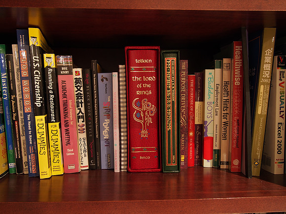 Olympus OM-D E-M5 Bookshelf-1_ISO 200_3.2 sec at f - 5.6_OLYMPUS M.14-42mm F3.5-5.6 II R at 15 mm
