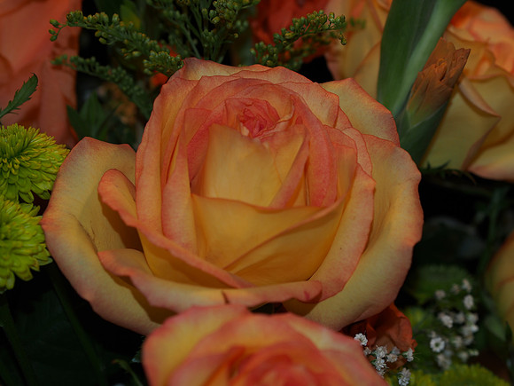 E-M5 Flowers-4_ISO 200_1-60 sec at f - 4.0_OLYMPUS M.45mm F1.8 at 45 mm