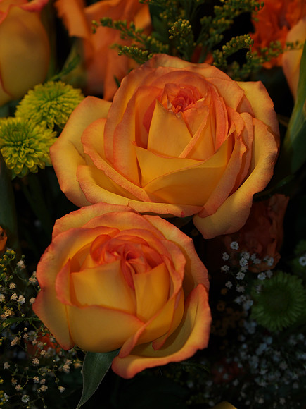E-M5 Flowers-11_ISO 400_1-60 sec at f - 4.0_OLYMPUS M.45mm F1.8 at 45 mm