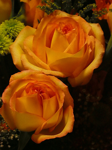 E-M5 Flowers-33_ISO 12800_1-250 sec at f - 9.0_OLYMPUS M.45mm F1.8 at 45 mm