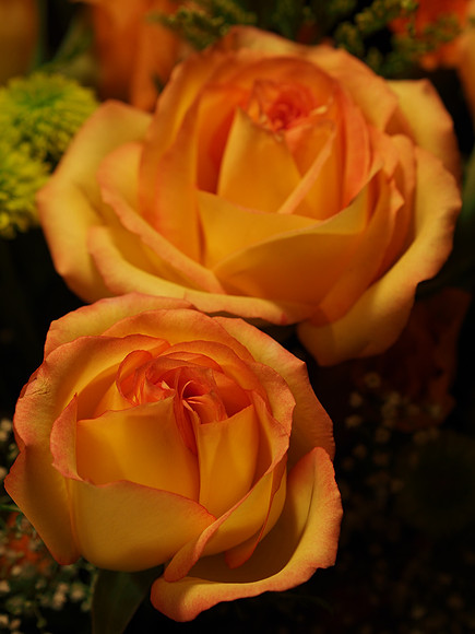 E-M5 Flowers-37_ISO 200_1-20 sec at f - 4.0_OLYMPUS M.45mm F1.8 at 45 mm
