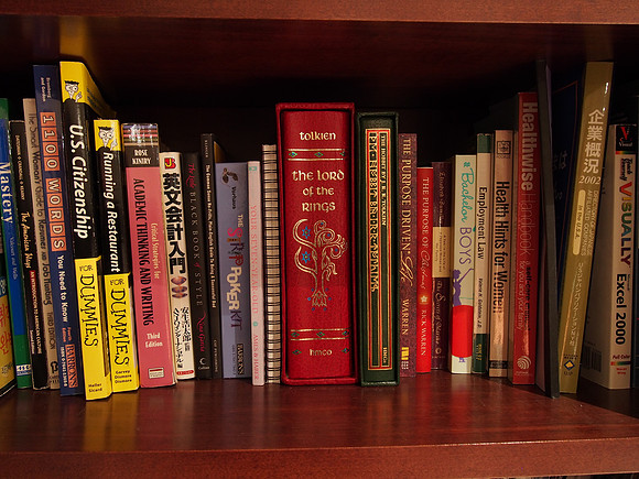 Olympus OM-D E-M5 Bookshelf-5_ISO 800_0.8 sec at f - 5.6_OLYMPUS M.14-42mm F3.5-5.6 II R at 15 mm