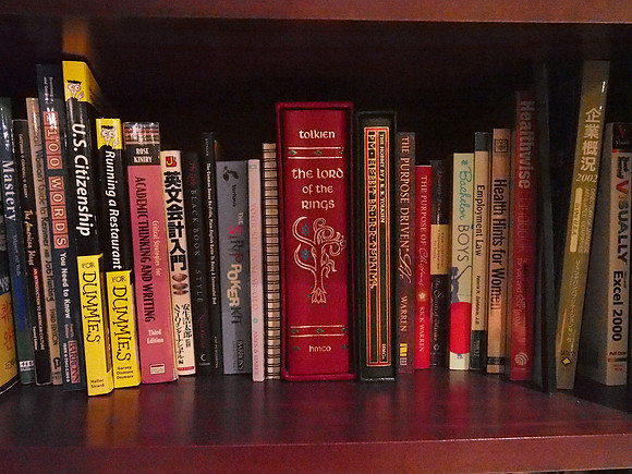 Olympus OM-D E-M5 Bookshelf-15_ISO 25600_1-40 sec at f - 5.6_OLYMPUS M.14-42mm F3.5-5.6 II R at 15 mm
