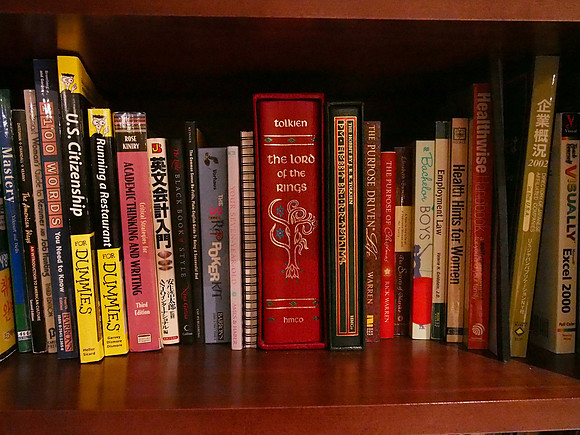 Olympus OM-D E-M5 Bookshelf-14_ISO 12800_1-20 sec at f - 5.6_OLYMPUS M.14-42mm F3.5-5.6 II R at 15 mm