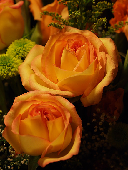 E-M5 Flowers-5_ISO 1250_1-100 sec at f - 4.0_OLYMPUS M.45mm F1.8 at 45 mm