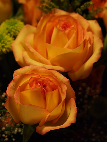 E-M5 Flowers-36_ISO 1250_1-125 sec at f - 4.0_OLYMPUS M.45mm F1.8 at 45 mm