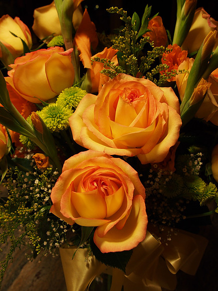 E-M5 Flowers-16_ISO 640_1-25 sec at f - 5.6_OLYMPUS M.14-42mm F3.5-5.6 II R at 14 mm