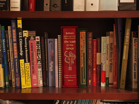 Olympus OM-D E-M5 Bookshelf-18_ISO 200_2.5 sec at f - 5.6_OLYMPUS M.14-42mm F3.5-5.6 II R at 42 mm