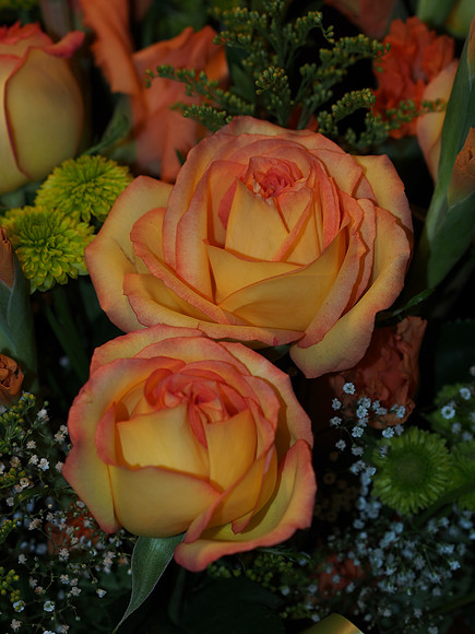 E-M5 Flowers-8_ISO 200_1-60 sec at f - 4.0_OLYMPUS M.45mm F1.8 at 45 mm