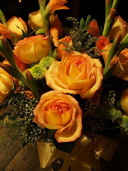 E-M5 Flowers-20_ISO 200_1-8 sec at f - 5.6_OLYMPUS M.14-42mm F3.5-5.6 II R at 14 mm