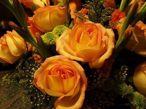 E-M5 Flowers-18_ISO 200_1-8 sec at f - 5.6_OLYMPUS M.14-42mm F3.5-5.6 II R at 14 mm