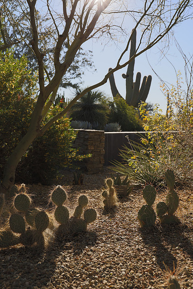 Arizona 2018-121 Canon EOS R RF24-105mm F4 L IS USM 39 mm 1-1000 sec at f - 5.6 ISO 250_