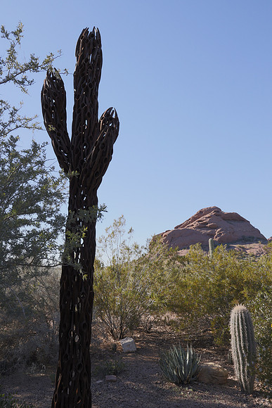 Arizona 2018-43 Canon EOS R RF24-105mm F4 L IS USM 24 mm 1-1000 sec at f - 9.0 ISO 1250_