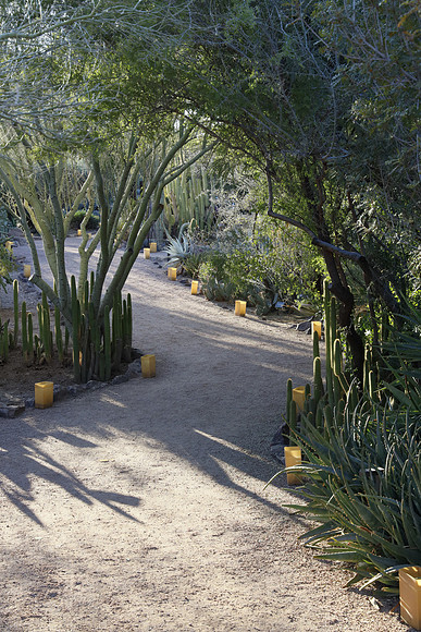 Arizona 2018-234 Canon EOS R RF24-105mm F4 L IS USM 65 mm 1-160 sec at f - 11 ISO 1250_
