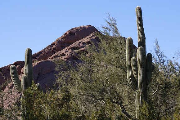 Arizona 2018-71 Canon EOS R RF24-105mm F4 L IS USM 101 mm 1-250 sec at f - 22 ISO 1000_