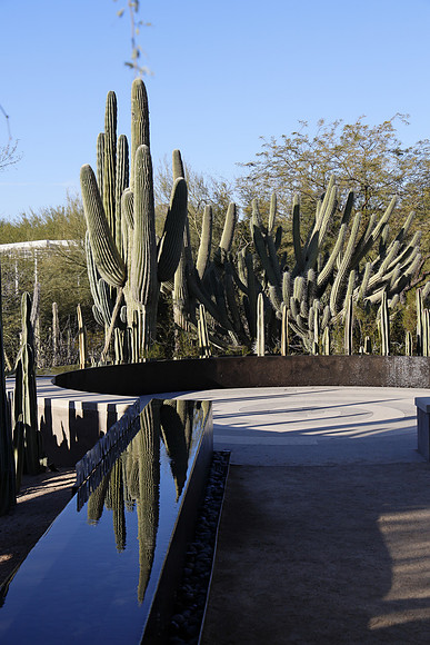 Arizona 2018-184 Canon EOS R RF24-105mm F4 L IS USM 61 mm 1-400 sec at f - 8.0 ISO 200_
