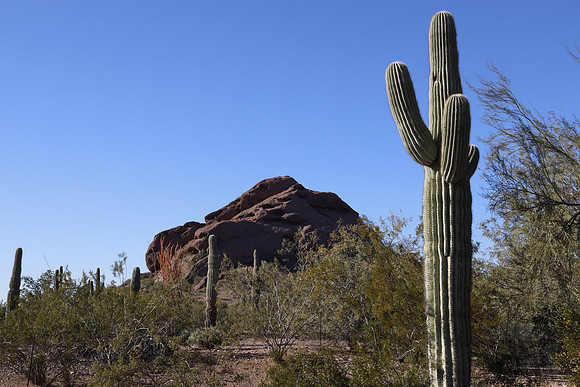 Arizona 2018-69 Canon EOS R RF24-105mm F4 L IS USM 42 mm 1-125 sec at f - 22 ISO 400_