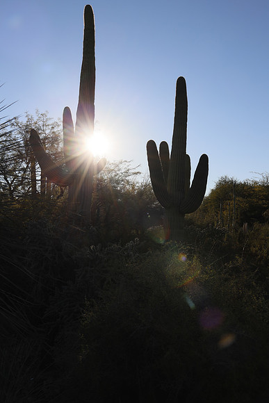 Arizona 2018-236 Canon EOS R RF24-105mm F4 L IS USM 35 mm 1-400 sec at f - 11 ISO 200_