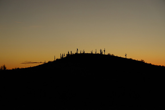 Arizona 2018-534 Canon EOS R RF24-105mm F4 L IS USM 105 mm 1-1600 sec at f - 5.6 ISO 1250_