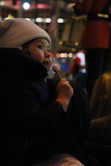 Snowflake Lane 2018-165 Canon EOS R RF24-105mm F4 L IS USM 67 mm 1-500 sec at f - 5.0 ISO 25600_