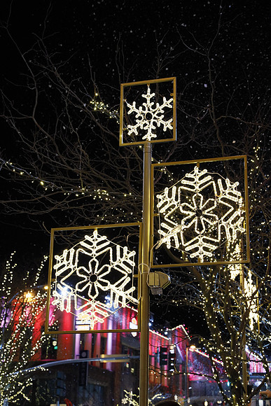 Snowflake Lane 2018-205 Canon EOS R RF24-105mm F4 L IS USM 65 mm 1-80 sec at f - 5.0 ISO 4000_