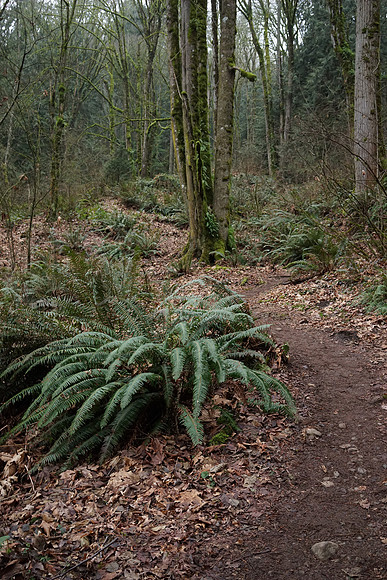 Sony_a7R-20_ISO 1600_1-15 sec at f - 5.6_FE 35mm F2.8 ZA at 35 mm