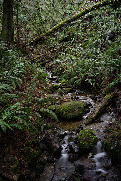 Sony_a7R-10_ISO 100_3.2 sec at f - 8.0_FE 35mm F2.8 ZA at 35 mm