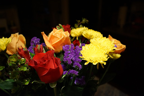 Sony_a7R-48_ISO 3200_1-60 sec at f - 5.6_FE 35mm F2.8 ZA at 35 mm