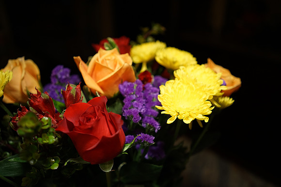 Sony_a7R-44_ISO 800_1-60 sec at f - 2.8_FE 35mm F2.8 ZA at 35 mm