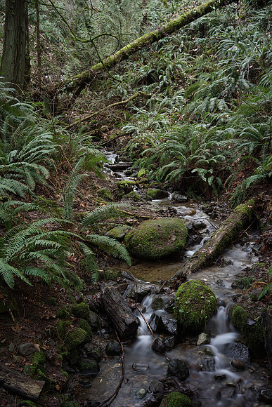 Sony_a7R-14_ISO 100_8.0 sec at f - 11_FE 35mm F2.8 ZA at 35 mm