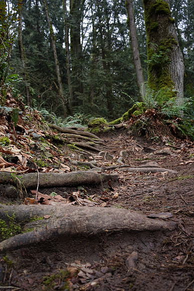 Sony_a7R-36_ISO 100_13.0 sec at f - 11_FE 35mm F2.8 ZA at 35 mm