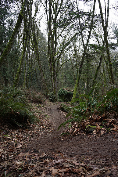 Sony_a7R-22_ISO 100_2.0 sec at f - 9.0_FE 35mm F2.8 ZA at 35 mm