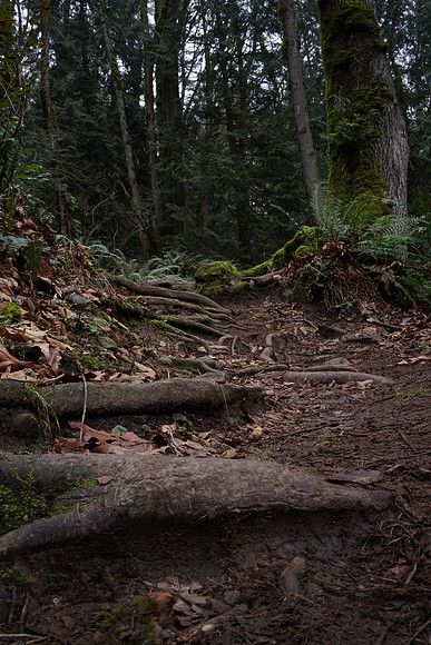 Sony_a7R-38_ISO 100_30.0 sec at f - 22_FE 35mm F2.8 ZA at 35 mm