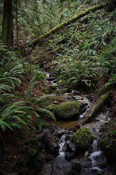 Sony_a7R-8_ISO 100_1.6 sec at f - 5.6_FE 35mm F2.8 ZA at 35 mm