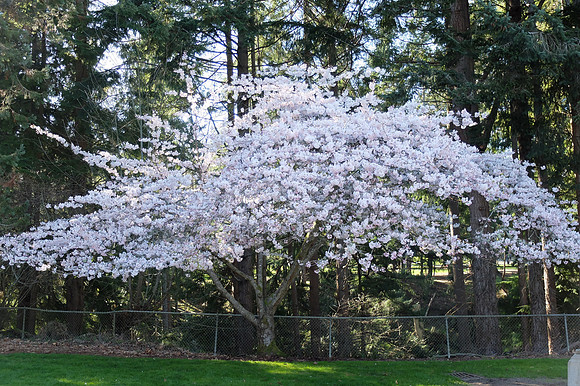 X20-122-2_ISO 200_1-340 sec at f - 2.2_ at 9.3 mm