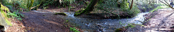 X20-201_ISO 160_1-125 sec at f - 2.0_ at 7.1 mm