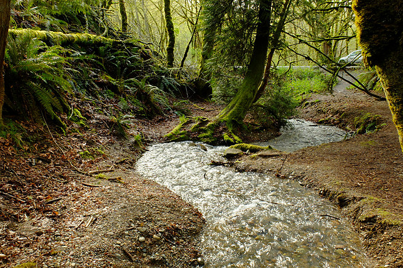X20-66_ISO 320_1-60 sec at f - 6.4_ at 7.9 mm