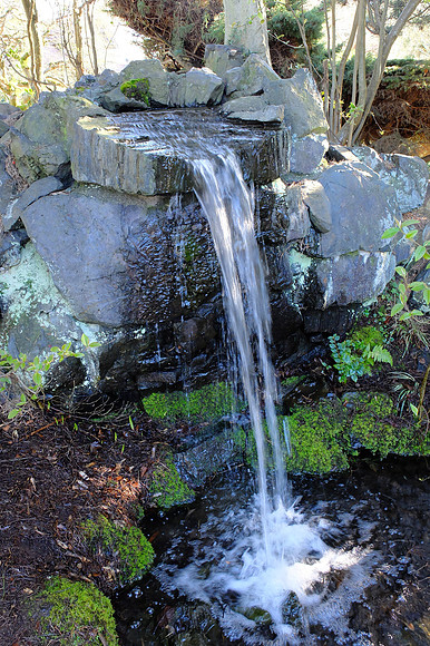 X20-100_ISO 400_1-30 sec at f - 4.0_ at 7.1 mm